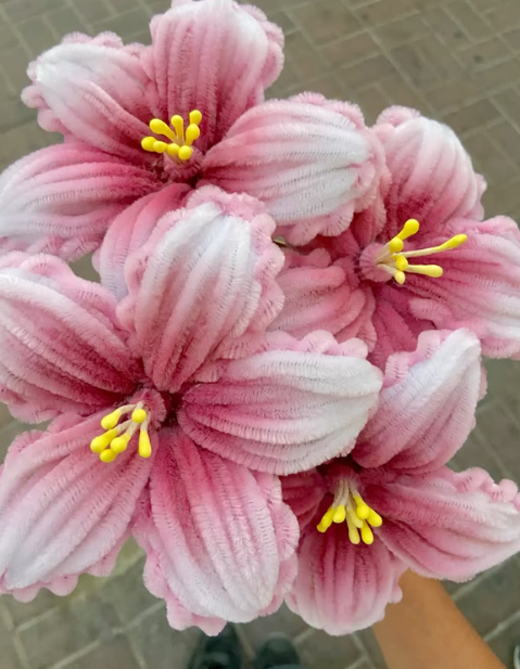 Pipe Flowers